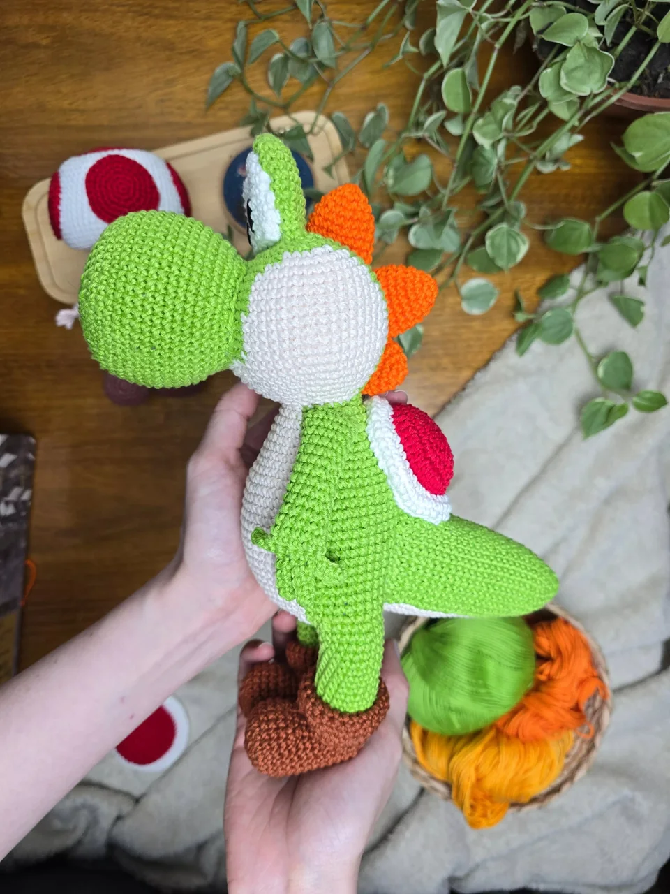 Yoshi, vista 2