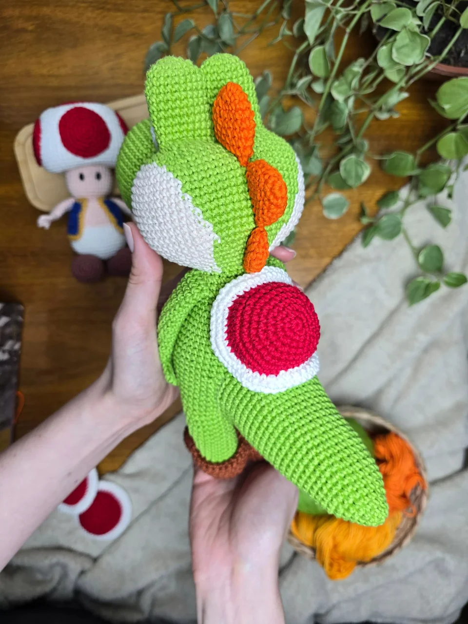Yoshi, vista 4
