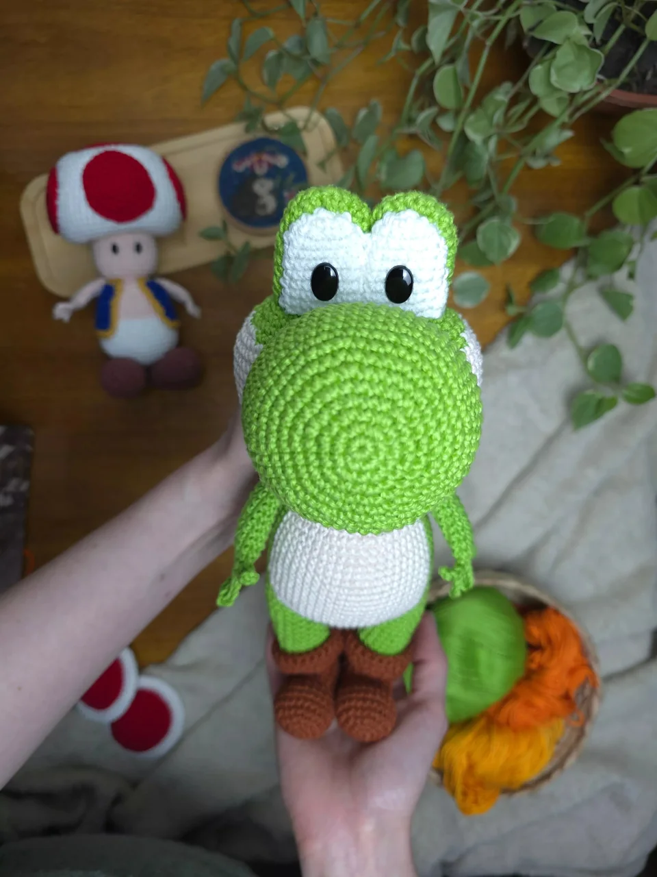 Yoshi, vista 5